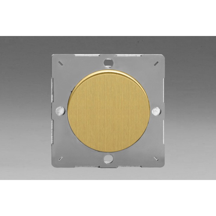 Module Obturateur (Cache) Laiton Brossé