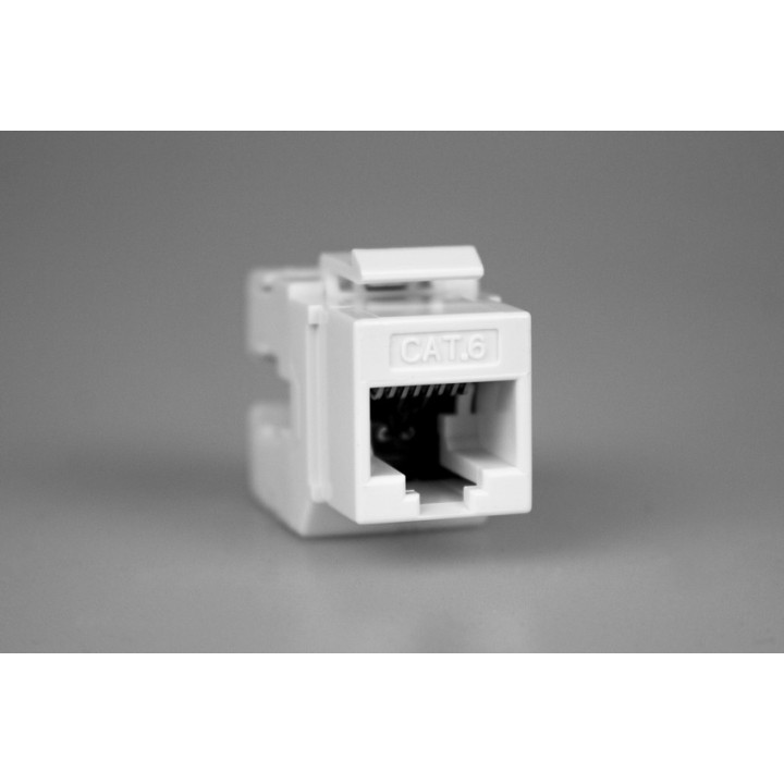 Module RJ45 CAT 6