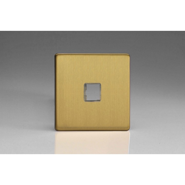 Plaque Data 1 Port pour Prise RJ12, RJ45 ou USB Design Laiton Brosse