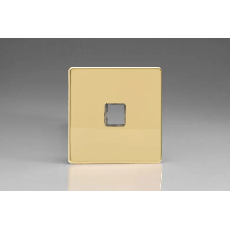 Plaque Data 1 Port pour Prise RJ12, RJ45 ou USB Design Laiton Miroir