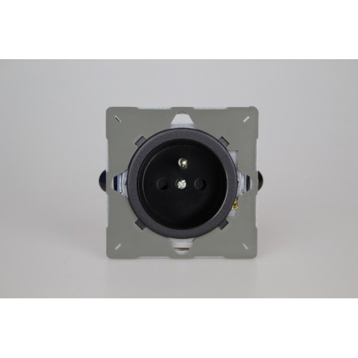 Module Prise de Courant 2P+T Noir Mat