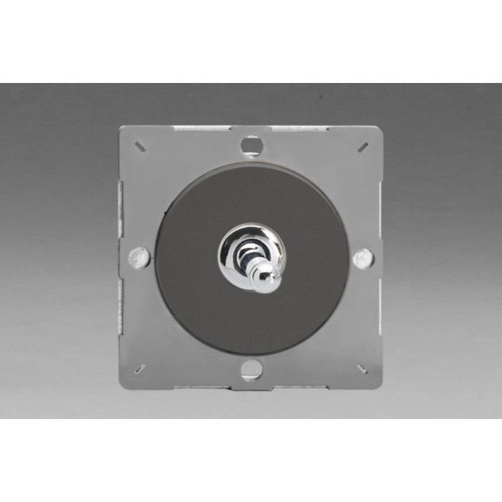Module Interrupteur Design V&V Toggle Switch Etain